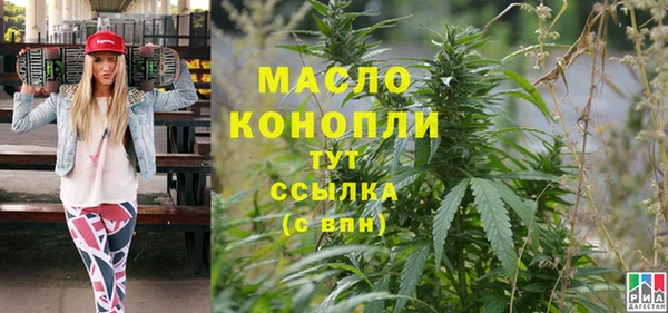 шишки Надым