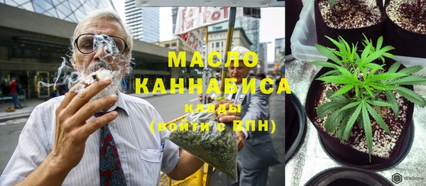 шишки Надым