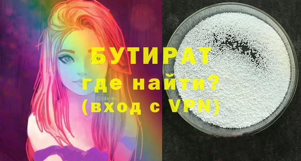 шишки Надым