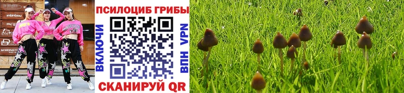 Псилоцибиновые грибы ЛСД  как найти наркотики  Фрязино 